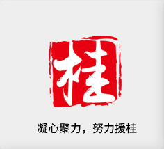 聚焦产业，努力援桂